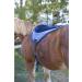 Intrepid International Comfort Plus Bareback Pad - Navy (21-3/4 x 22) - Buy Online on GoSupps.com