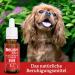 Belisy Calm Bach Flower Drops for Dogs & Cats - Natural Sedative for Fear & Stress - Original Dr. Bach Formula - 20ml Emergency Calm Solution - Buy Online on GoSupps.com