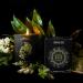 Virgo Candle for Women - Zodiac Sign Gifts Scented Soy Candles for August Birthdays & Christmas - Perfect Astrology Gift for Men - Buy Online on GoSupps.com