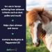 Aviform Breatheasy - Natural Horse Breathing Aid Assists With Mucus Relief And COPD - Perfect Horse Supplement To Improve Equine Respiratory Use Less Energy And Optimise Their Stride - 1000ml 1 l (Pack of 1) - Buy Online on GoSupps.com