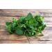 Sports equipment Mynatura Organic peppermint leaves dried I peppermint I whole leaves I peppermint tea I herbal tea I aroma I in bag 1000 g - Buy Online on GoSupps.com