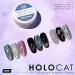 Daily Charme Holographic Cateye Magnetic Nail Chrome Powder - 1g | 3-in-1 Pigment for Stunning Rainbow Cat Eye Effect | DIY & Salon Manicure (Holographic Silver - Buy Online on GoSupps.com