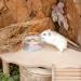 Niteangel Hamster Feeding & Water Bowls- Mount Fuji Series Glass Drinking Bowls for Dwarf Syrian Hamsters Gerbils Mice Rats or Other Similar-Sized Small Pets (Transparent) - Buy Online on GoSupps.com