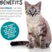 maxxipaws maxxidigest+ Digestive and Immune Support Supplement for Cats with Probiotics Prebiotics and Digestive Enzymes Powder 90 g 90 g (Pack of 1) - Buy Online on GoSupps.com