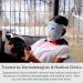 Red Light Therapy Mask - FDA Cleared Medical Grade LED Device for Wrinkle Reduction Scarring Treatment and Skin Tone Improvement - Buy Online on GoSupps.com