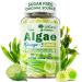 Omega 3 Gummies 2200mg from Algae Oil (DHA 640mg & EPA 290mg) for Women & Men, Vegan Omega 3 Fish Oil Alternative, w/CoQ10, Astaxanthin, Vitamin A, E, D3 for Brain, Eye, Antioxidant, Sugar Free, 1Pack 60 Count (Pack of 1)