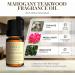 Eleven Drops Mahogany Teakwood Diffuser Oil Premium Fragrance Oil for Cold Air Diffusers Home Office DIY Candles Rich Woody Aroma Long Lasting Pet Friendly Made in USA 10ml Glass Bottle - Buy Online on GoSupps.com