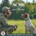 Buy Acme Dog Whistle No.210.5 - Original England | Loud Reliable Training Tool with Free Instructions & Black Pipe Band - Hot Pink/Coral Red - Buy Online on GoSupps.com