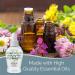 SMELLS BEGONE Eucalyptus Mint Essential Oil Bathroom Spray - 4oz - Eliminates Toilet Odors - Natural Freshener - Buy Online on GoSupps.com