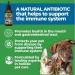 Certified Organic USA Animal Essentials Echinacea Goldenseal 1oz - Immune System Support | 30ml - Buy Online on GoSupps.com