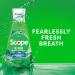 Crest Scope Get Fresh Mouthwash 1L - Alcohol-Free, Fights Plaque & Gingivitis, Spearmint - Buy Online on GoSupps.com
