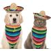 Mexican Dog Costume Accessories Cinco De Mayo Fiesta Party Decorations Pet Serape Outfit for Dogs and Cats Sombrero Hats Hat and Colorful Stripe Bandana Pet Triangle Bib Scarf - Buy Online on GoSupps.com