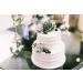 Shop Succulents Radiant Rosette Collection - 32 Pack Mini Succulent Plants - Buy Online on GoSupps.com