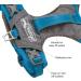 Kurgo Journey Air Dog Harness - Padded Chest & Back Handle for Dogs 2-5 kg XS Size - Blue/Gray - Buy Online on GoSupps.com