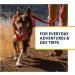 Luffwear Dog Dishes with Built-In Bags | All-Day Comfort for Small Breeds | Red Sumac | Ideal for Short Trips & Everyday Use - Buy Online on GoSupps.com