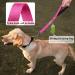 Vivaglory Short Dog Leash 46cm - Pink Traffic Leash for Medium & Large Dogs | Durable Training Line - Buy Online on GoSupps.com