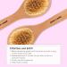 Dry Brushing Body Brush for Lymphatic Drainage - Dry Brushing Body Brush - Dry Brush for Cellulite and Lymphatic - Body Brush for Dry Brushing Natural - Body Exfoliator Brush by Grace and Stella - Buy Online on GoSupps.com