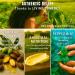 Organic Comfrey Salve Peppermint Comfrey Cream | Comfrey Salve for Bone Support Organic | Joint & Muscle Support Cream Whipped Balm 2oz Peppermint with Grass-Fed Beef Tallow & Jojoba Oil - Buy Online on GoSupps.com