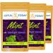 Tulsi Tea Sacred Holy Basil Tea Sleepy Relax Herbal Tea Immune Support - Buy Online on GoSupps.com