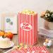 Paper Popcorn Bags 2 oz Disposable Individual Servings Popcorn Container Flat Bottom Vintage Popcorn Bags for Popcorn Machine Movie Night Party Theaters Carnivals Red and White Striped (300 Pieces) - Buy Online on GoSupps.com