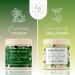 CalmGenix Coconut & Ginger Lime Foot Scrub Set with File - Exfoliating Feet Care Gift for Women and Men | Foot Spa Kit for Pampering Pedicure - Buy Online on GoSupps.com