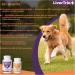 Comprehensive Liver Support Supplement for Large Dogs. Flavorful Chewable Tablets Combining Same SPC Silybin A+B + Glutathione 30Ct (Large) Large (1 Pack) - Buy Online on GoSupps.com