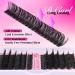 Lash Clusters Kit - Volume Eyelash Extensions 80D & 100D D Curl 10-18MM | Individual Lashes with Bond Seal & Tweezers - Perfect for Professional Lash Extensions - Buy Online on GoSupps.com