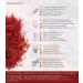 FRISAFRAN | Saffron Filaments 5g | Saffron in pistils | Saffron Yarn | Saffron | Organic Saffron | Organic Saffron | Saffron - Buy Online on GoSupps.com