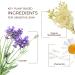 Babo Botanicals Calming 3-in-1 Wipes - Lavender & Meadowsweet for All Ages | 30 ct - Buy Online on GoSupps.com