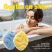 myHomeBody Dual-Texture Facial Sponge - 2.00 Inches - Buy Online on GoSupps.com