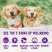 Wellness Complete Health Natural Puppy Food - Chicken & Salmon 12.5oz Can (Pack of 12) - Buy Online on GoSupps.com