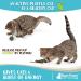 Raw Paws Catnip Lollipop (6-Pack) - Catnip Toys for Indoor Cats - Catnip Ball, Silvervine & Matatabi Stick for Cats - Buy Online on GoSupps.com