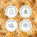 Triscuit Tzatziki Whole Grain Wheat Crackers 8.5 oz - Delicious Snack Option - Buy Online on GoSupps.com