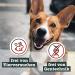 Chewies XL Deer Antler Chews for Dogs - Natural Healthy Snack - 60g | Premium Chewing Rod from Red Deer - Buy Online on GoSupps.com