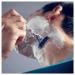 Buy Gillette Mach3 Turbo Razor for Men | Premium Shaving Experience | Fast International Shipping - Buy Online on GoSupps.com