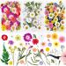 120 PCS Dried Flowers for Resin Molds  Natural Pressed Flowers Leaves Herbs kit with Tweezers for DIY Art Crafts  Candle Jewelry Making  Scrapbook Embellishment  Nail  Silicone Molds  Floral Decors