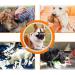 Dog Muzzle Muzzle for Large Dogs Dog Muzzles Large And Small Soft Dog Muzzle Small Dog Muzzle Basket Muzzle for Large Dogs Ultimate Comfort and Safety Elevate Training Experienc - Buy Online on GoSupps.com