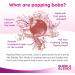 Raspberry Popping Boba 450g - Fruit Juice-Filled Boba Pearls for Bubble Tea - Fat-Free - Pack of 1 - Buy Online on GoSupps.com