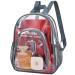 Paxiland Clear Backpack Small Stadium Approved for Women Clear Bag for Work Travel Concert Sports Grey-m