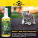 KinderPet Eco Cat Repellent Anti Fouling Spray Stop Cats Deterrent Stops Fouling Digging Scratching Christmas Tree Stop Cat Natural Humane Citrus Spray 250ml - Buy Online on GoSupps.com