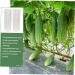 Milisten 6 Pcs Vegetable Shaping Fruit Cucumber Styling Mushroom Picking Garden Square - Buy Online on GoSupps.com