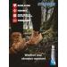 Stormsure Hiking Boot Shoes Repair Kit - Industry Boot glue PU Adhesive Waterproof Permanent Durable Flexible Transparent - Buy Online on GoSupps.com