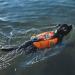Non-stop Dogwear Protector Life Jacket | Size 2 | Ideal for SUB Rehabilitation & Safety | Shop Internationally - Buy Online on GoSupps.com