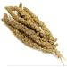 *New* Millet Sprays 1kg Premium Cage Bird Food Seed
