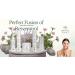 ORGANIC PLANET Resveratrol Vegan C Night Cream - Buy Online on GoSupps.com