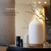 VIVITEST Ceramic Ultrasonic Essential Oil Diffuser (250ML) - Aromatherapy Diffuser for White 250ML - Buy Online on GoSupps.com