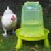 5L Automatic Chicken Water Dispenser & Poultry Drinks | 1.5L 3L 8L Options | Essential Chicken Accessories - Buy Online on GoSupps.com