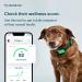 Whistle Health Smart Device for Dogs | Fitness & Activity Tracker - Green - Buy Online on GoSupps.com