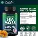 Sea Moss Bundle Wildcrafted Irish Sea Moss Capsules with Burdock Root Bladderwrack Muira Puama + Seamoss Black Seed Oil Ashwagandha & Ginger 240 Vegan Capsules - Buy Online on GoSupps.com