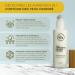 OZONO D'OR - Eye Contour Serum with 100% Natural Organic Ozone Reduces Dark Circles and Wrinkles by Improving Microcirculation with Ozone | Anti-Wrinkle Eye Contour Women Men with Roll on - Buy Online on GoSupps.com